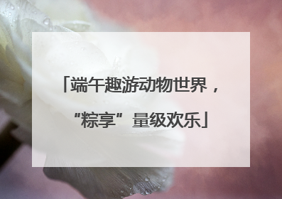 端午趣游动物世界，“粽享”量级欢乐