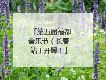 第五届禧都音乐节（长春站）开躁！