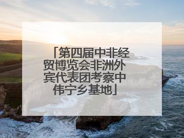 第四届中非经贸博览会非洲外宾代表团考察中伟宁乡基地