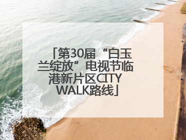 第30届“白玉兰绽放”电视节临港新片区CITY WALK路线