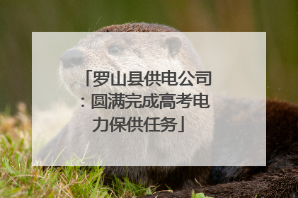 罗山县供电公司：圆满完成高考电力保供任务