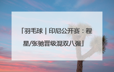 羽毛球｜印尼公开赛：程星/张驰晋级混双八强
