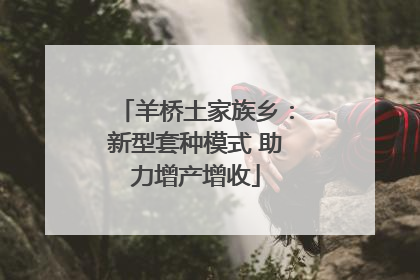 羊桥土家族乡：新型套种模式 助力增产增收