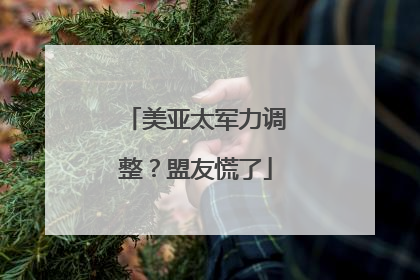 美亚太军力调整？盟友慌了