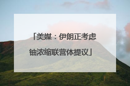 美媒：伊朗正考虑铀浓缩联营体提议