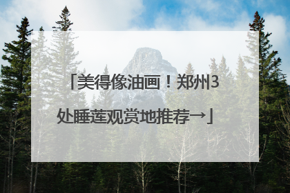 美得像油画！郑州3处睡莲观赏地推荐→