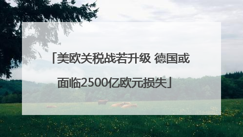 美欧关税战若升级 德国或面临2500亿欧元损失