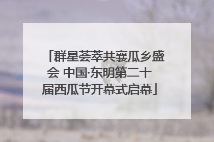群星荟萃共襄瓜乡盛会 中国·东明第二十届西瓜节开幕式启幕