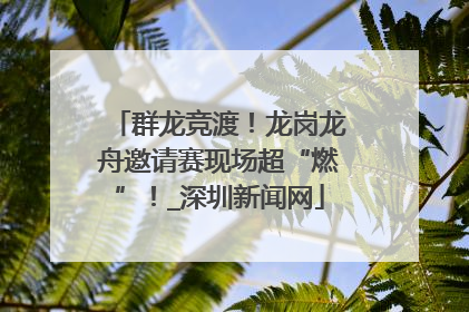 群龙竞渡！龙岗龙舟邀请赛现场超“燃”！_深圳新闻网