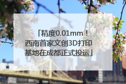 精度0.01mm！西南首家文创3D打印基地在成都正式投运