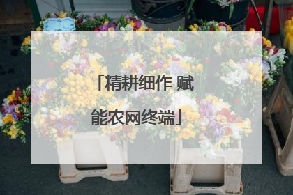 精耕细作 赋能农网终端