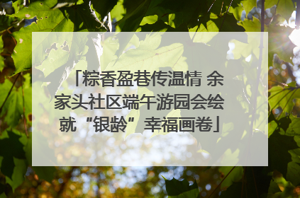 粽香盈巷传温情 余家头社区端午游园会绘就“银龄”幸福画卷
