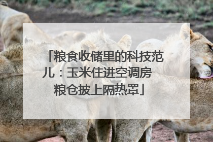 粮食收储里的科技范儿：玉米住进空调房 粮仓披上隔热罩
