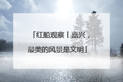红船观察丨嘉兴，最美的风景是文明