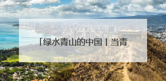 绿水青山的中国丨当青春理想遇见绿水青山