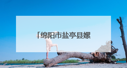 绵阳市盐亭县嫘祖镇中心小学召开期末复习动员会