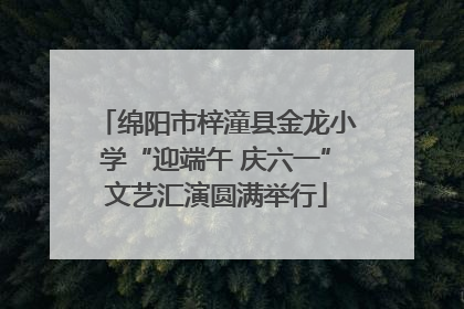 绵阳市梓潼县金龙小学“迎端午 庆六一”文艺汇演圆满举行