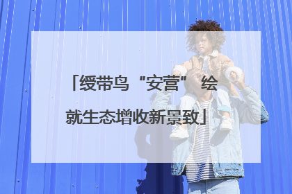 绶带鸟“安营” 绘就生态增收新景致