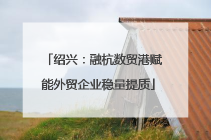 绍兴：融杭数贸港赋能外贸企业稳量提质