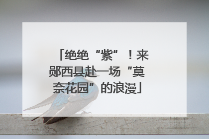 绝绝“紫”！来郧西县赴一场“莫奈花园”的浪漫