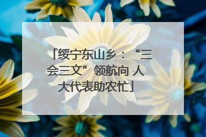 绥宁东山乡：“三会三文”领航向 人大代表助农忙