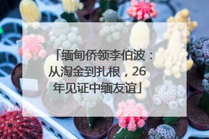 缅甸侨领李伯波：从淘金到扎根，26年见证中缅友谊