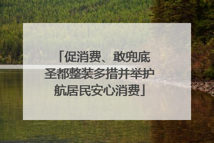 促消费、敢兜底 圣都整装多措并举护航居民安心消费