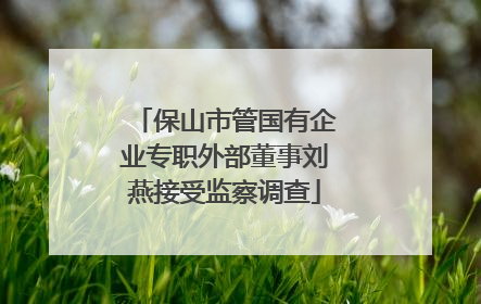 保山市管国有企业专职外部董事刘燕接受监察调查