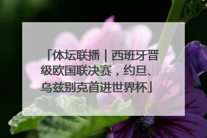 体坛联播｜西班牙晋级欧国联决赛，约旦、乌兹别克首进世界杯