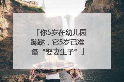 你5岁在幼儿园蹦跶，它5岁已准备“娶妻生子”