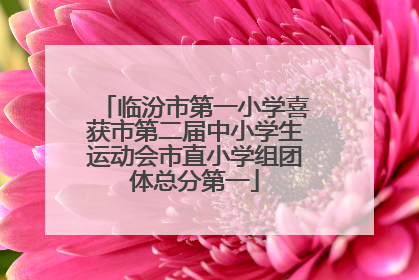 临汾市第一小学喜获市第二届中小学生运动会市直小学组团体总分第一