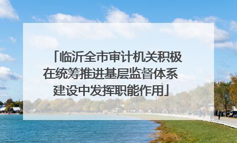 临沂全市审计机关积极在统筹推进基层监督体系建设中发挥职能作用