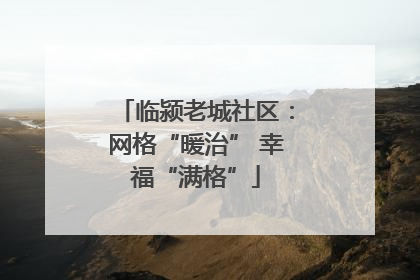 临颍老城社区：网格“暖治” 幸福“满格”