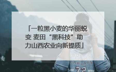 一粒黑小麦的华丽蜕变 麦田“黑科技”助力山西农业向新提质