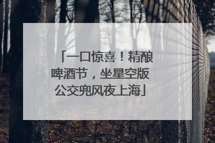 一口惊喜！精酿啤酒节，坐星空版公交兜风夜上海