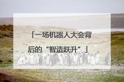 一场机器人大会背后的“智造跃升”