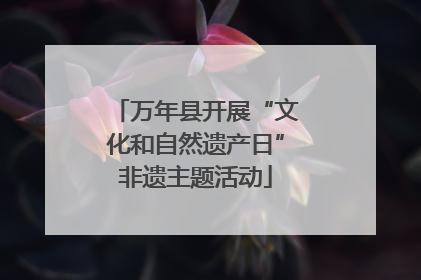 万年县开展“文化和自然遗产日”非遗主题活动