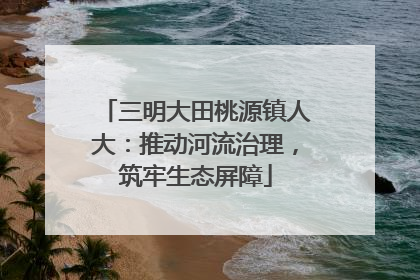 三明大田桃源镇人大：推动河流治理，筑牢生态屏障