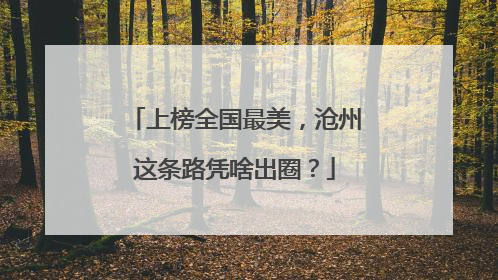 上榜全国最美，沧州这条路凭啥出圈？