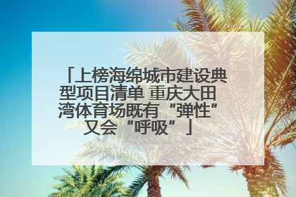 上榜海绵城市建设典型项目清单 重庆大田湾体育场既有“弹性”又会“呼吸”