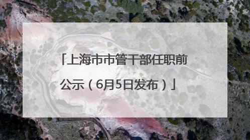 上海市市管干部任职前公示（6月5日发布）