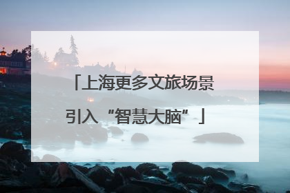 上海更多文旅场景引入“智慧大脑”