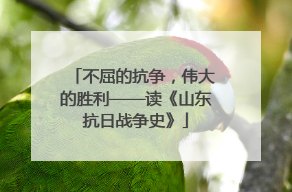 不屈的抗争，伟大的胜利——读《山东抗日战争史》