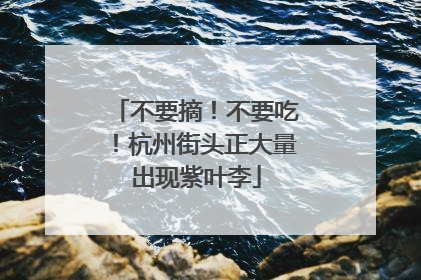 不要摘！不要吃！杭州街头正大量出现紫叶李