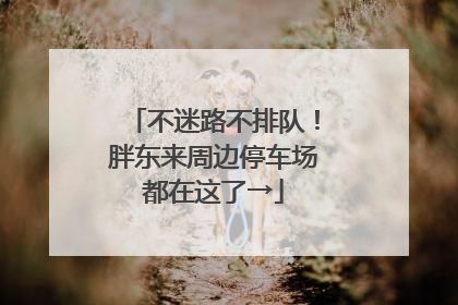 不迷路不排队！胖东来周边停车场都在这了→