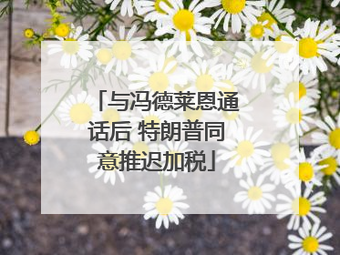 与冯德莱恩通话后 特朗普同意推迟加税