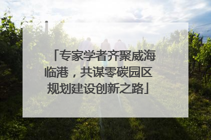 专家学者齐聚威海临港，共谋零碳园区规划建设创新之路