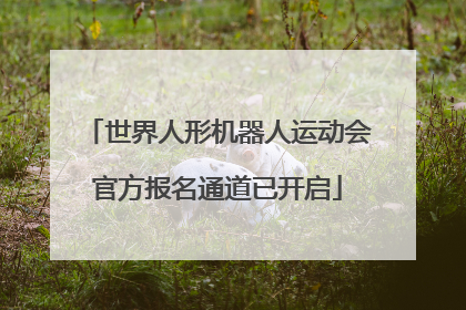 世界人形机器人运动会官方报名通道已开启
