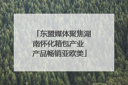 东盟媒体聚焦湖南怀化箱包产业 产品畅销亚欧美