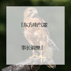 东方电气董事长调整